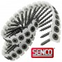 SENCO Collated Drywall Screws - COARSE BLACK