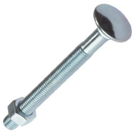 Carriage Bolts