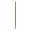Yellow Passivated Coarse Drywall Screw Yellow Passivated Coarse Drywall Screw