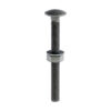 Stacked from 10 images. Method=B (R=8,S=4) Index Exterior Coated Carriage Bolt, Nut + Washer