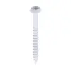 Rainwater Screws - PZ - Low Profile Pan - Exterior - White Rainwater Screws - PZ - Low Profile Pan - Exterior - White