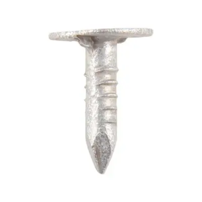 Clout Nails Extra Large Head - Galvanised Clout Nails Extra Large Head - Galvanised