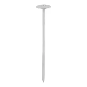 Slab Nail - Galvanised