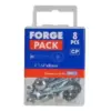 Mirror Screw - Zinc Plated - Bag Mirror Screw - Zinc Plated - Bag