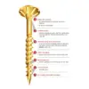 Reisser Cutter Screws - High Performance - image 2