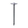 FWMN30_w1 Masonry Nail - Mickey